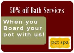 Bath Services Coupon